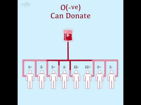 Blood Type Compatibility Chart