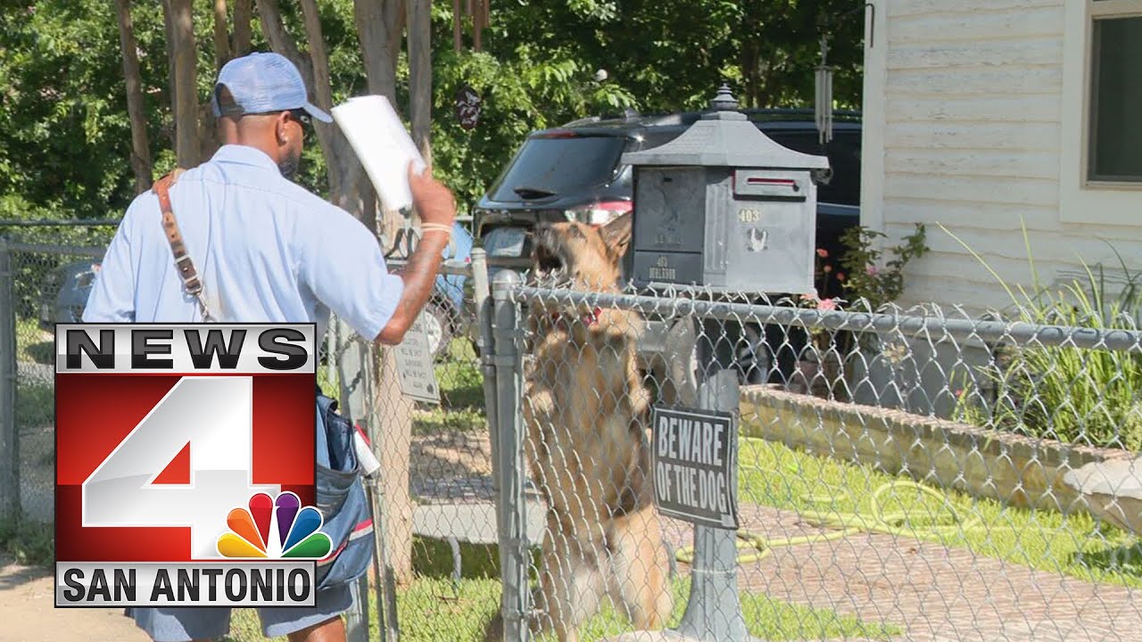 Postal workers concerned as San Antonio ranks No. 9 on dog attack list ...