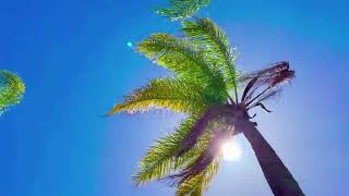 Cloud 22 - Sunkissed - Preview Update