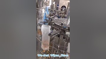 8 working station rotary bagging machine granule food trial testing operation video from Wilpac