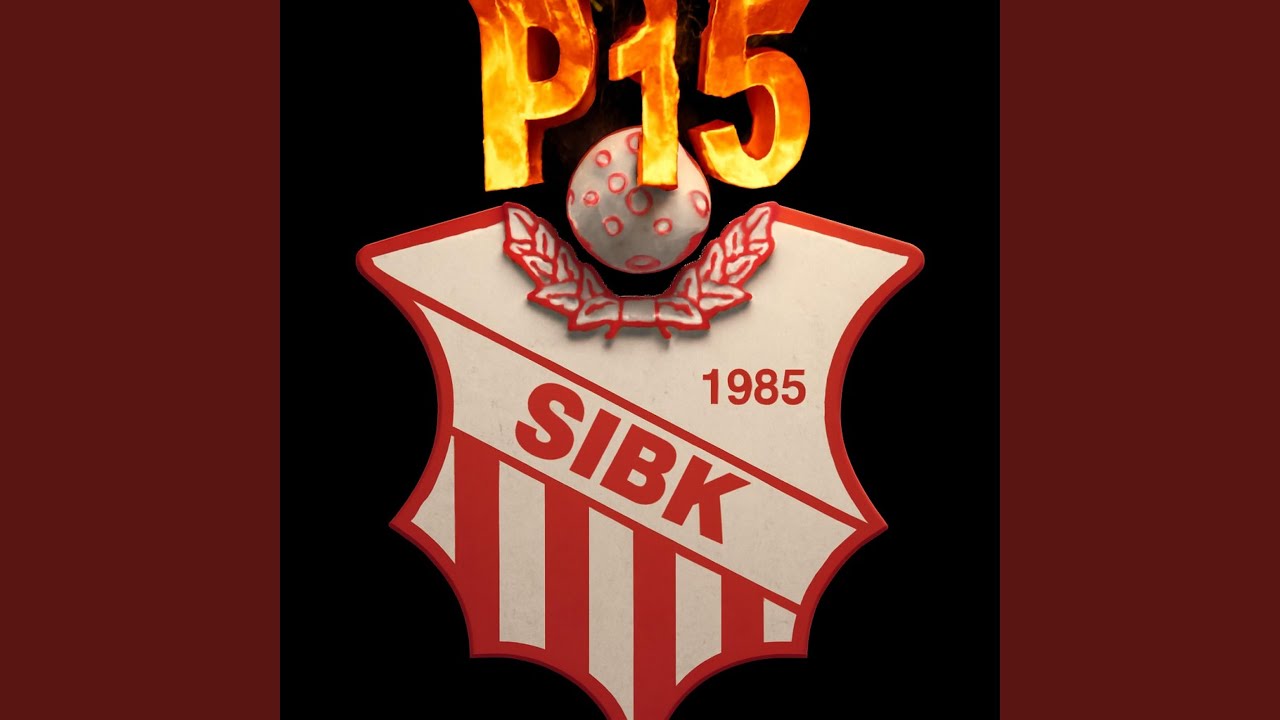 P15 (Nordic Arena Remix)