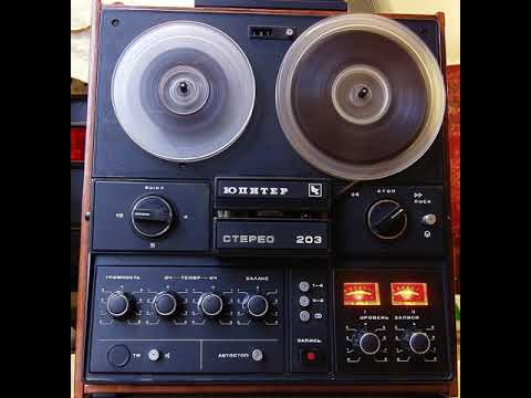 2 Весільні 88 Тече вода каламутна Shorts