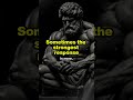 Don’t Be Shy About These 4 Things | Stoic Life Lessons #stoicism #personalgrowth