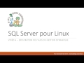 Sql server sur linux 06  exploration des vues de gestion dynamique