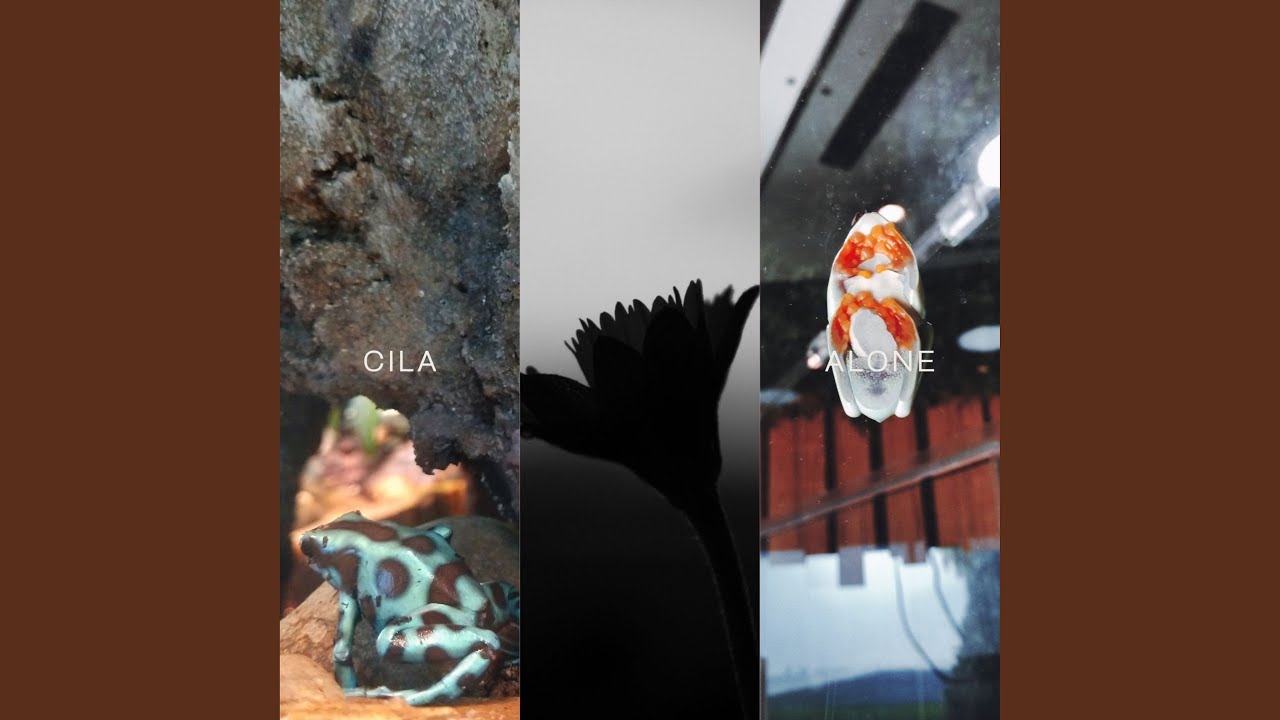 Watch Alone on YouTube Watch Alone on YouTube