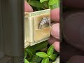 Oldie but goodie... Vintage 2 Carat Diamond Engagement Ring G/I1, Sku AM23190