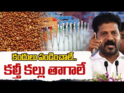 CM Revanth Reddy About Mahbubnagar People | కందులు పండించాలే.. కల్తీ కల్లు తాగాలే | ZEE Telguu - ZEE24TELUGUNEWS