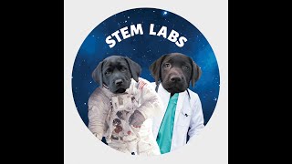 STEM Labs   TinkerCad Intro   SD 480p