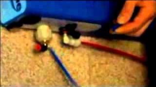 Purificatore Ecoline