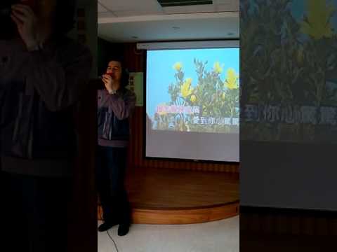 台語歌曲   愛到才知痛 ( 黃乙玲主唱 ) 李克明作詞 徐嘉良作曲~陳星福~老人活動站第484首
