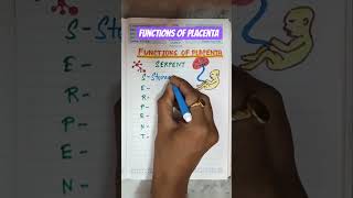 Functions Of Placenta..#obs #obstetrics #exam #share #viralshorts #trending #medical#reels #follow