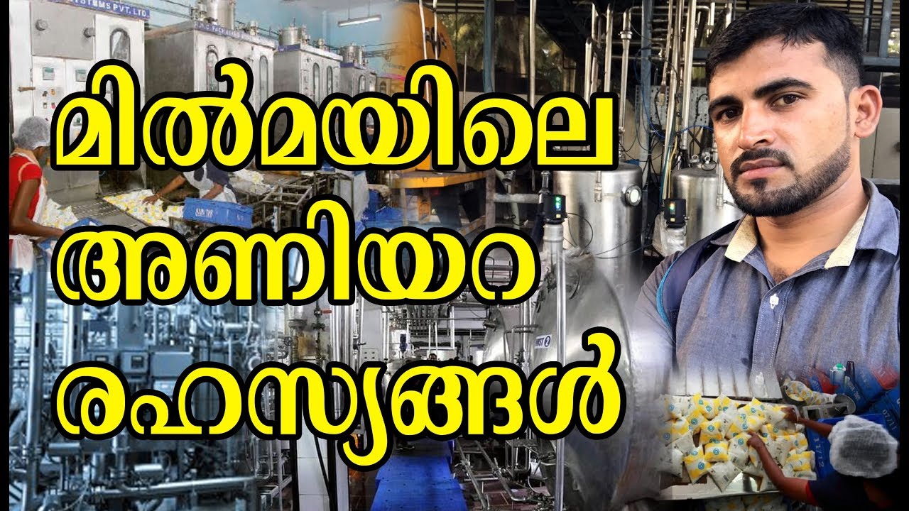 മില്‍മ ഒരു സംഭവം തന്നെ: ശേഖരണം മുതല്‍ ലോഡിംഗ് വരെ/Milma Dairy