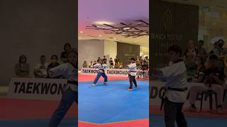 Taekwondo Poomsae Freestyle | #taekwondo #poomsae #freestyle yle