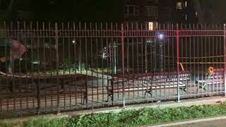 THE CRIME SCENE at 2158 Aqueduct Avenue, University Heights, Bronx, May 28, 2026 after a shooting.