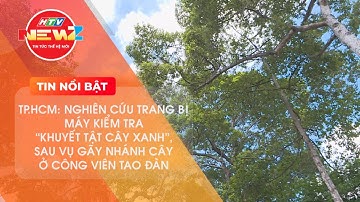 TP.HCM NGHIÊN CỨU TRANG BỊ MÁY KIỂM TRA “KHUYẾT TẬT CÂY XANH” SAU VỤ GÃY TÁN CÂY Ở CÔNG VIÊN TAO ĐÀN