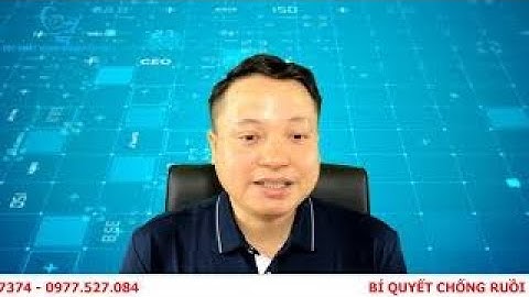 Bí quyết diệt ruồi muỗi cùng bác sĩ thú y vũ văn Hùng