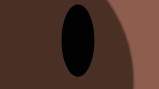 Tobs Intro Bfaa Season 4