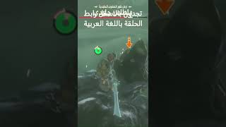 The Legend of Zelda Breath of the Wild #54.1 #Breath_of_the_Wild #BOTW #NintendoSwitch