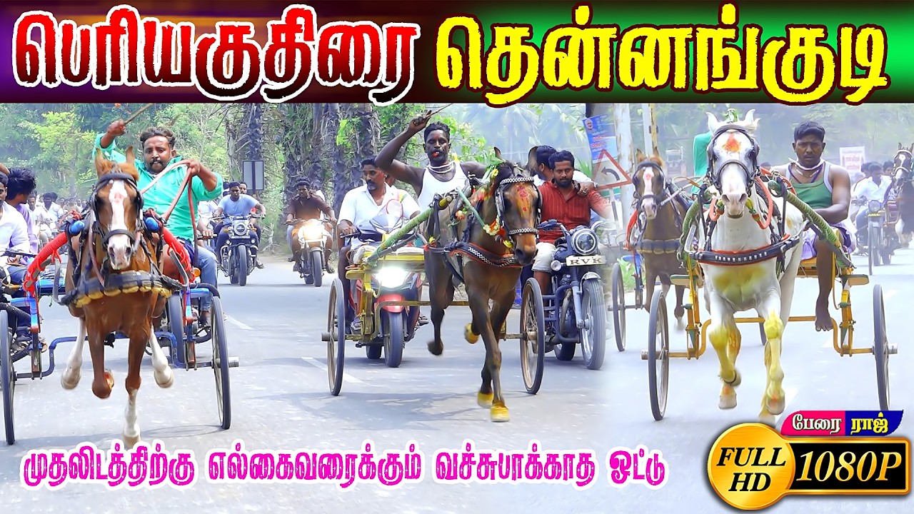 தென்னங்குடி பெரியகுதிரை பந்தயம் #perai_raj_digital #reklarace2026