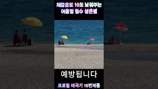 체감온도10도 낮춰주는 생존템? 이거 하나면 여름 생존 가능