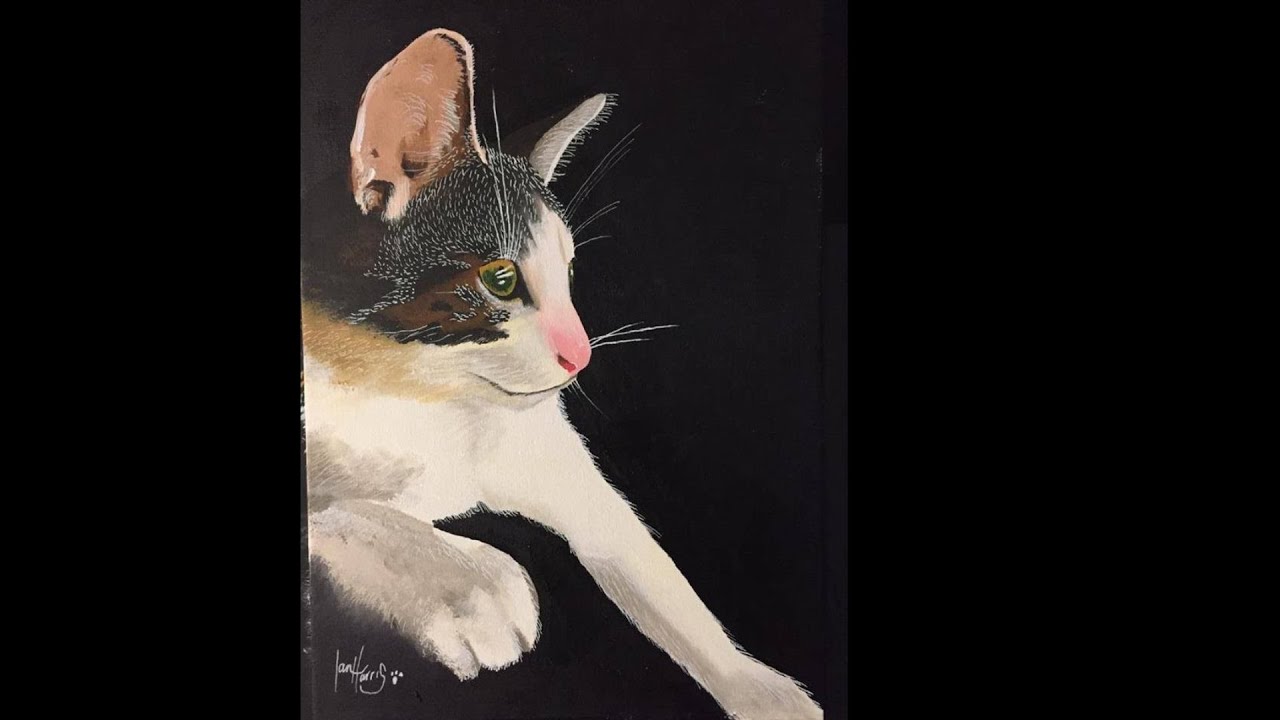 TIME LAPSE painting my cat in acrylic. YouTube