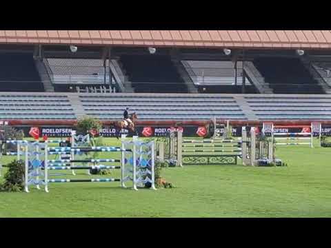 Sam de Mariposa - CSIYH1* 7y old Valkenswaard - 27 07 2025