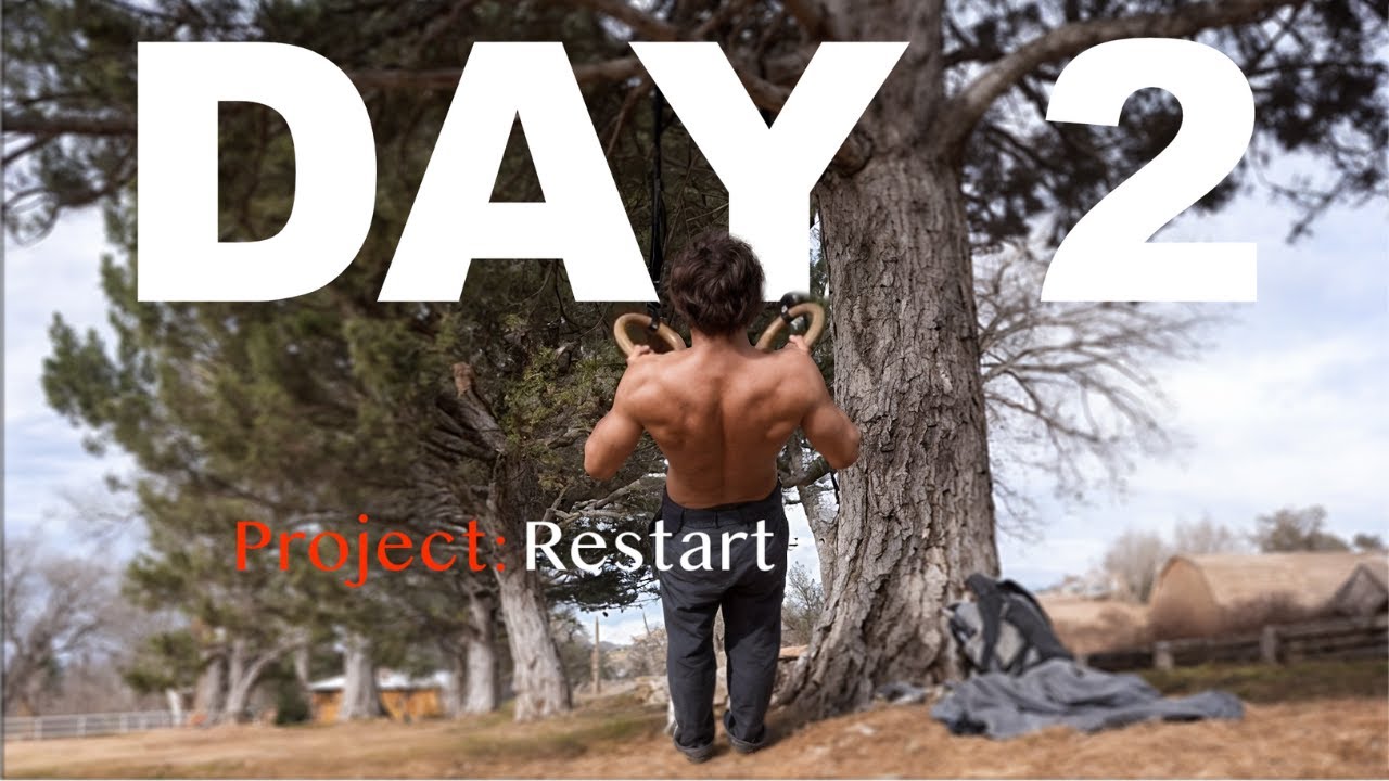 Restarting Calisthenics Day 2