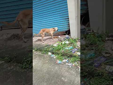 plz plz help pathananthitta kaipattoor arun 8089170361