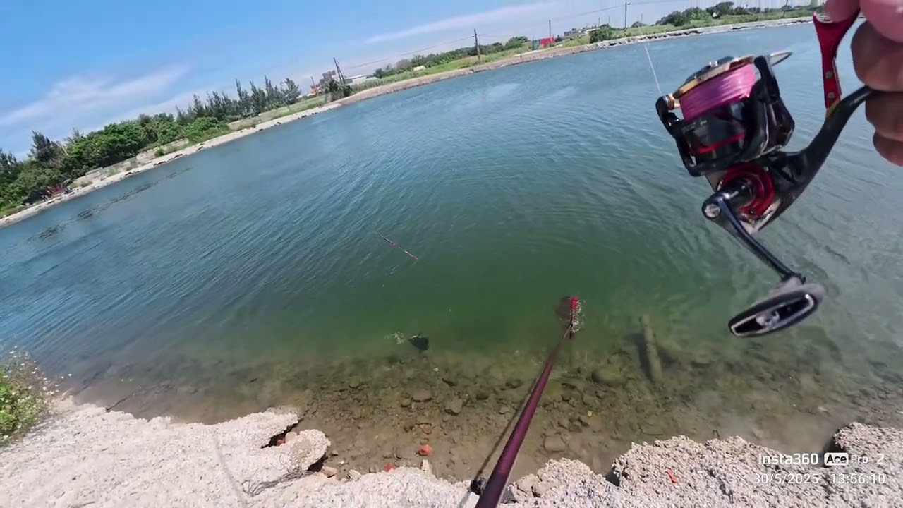 【海釣場】西濱61線大自然海釣場第一次就上手/漲價了現在入場費1000元。