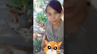 Download Lagu istri setia MP3