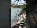 Hardiwar Trip Part 2 - Shitala Mata Mandir #shorts #viral #trending #haridwar #vlog #trip #youtube