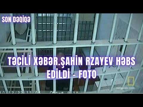 TƏCİLİ XƏBƏR. Şahin Rzayev həbs edildi - FOTO