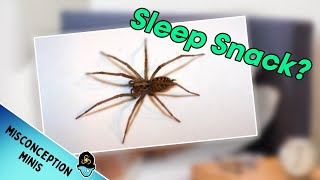 Do we Really Eat Spiders in Our Sleep?