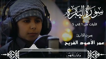 سورة البقرة الصفحة ٢ من الآية { ١ إلى ٥ }