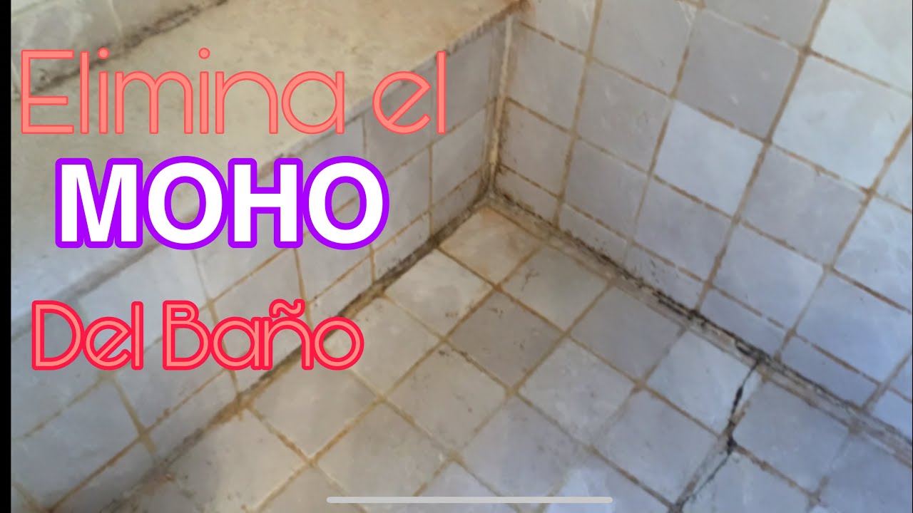 Cómo eliminar los hongos del baño?