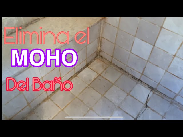 Cómo limpiar el moho en la ducha y las paredes del baño? - Teza Clean