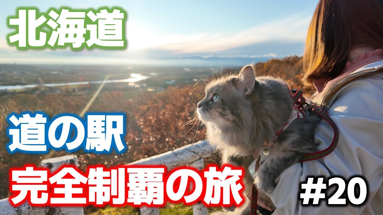 【北海道】完走直前！？　十勝・帯広のおいしいものを食べまくるドライブ旅！【道の駅スタンプラリーの旅】