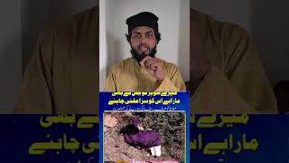 molana Sahab ka intekal taren me | Molana Tosif Raza | बिहार  #islamicstatus #short