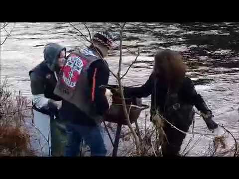 Grill im pool challenge 2017