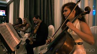 Indigo string Quartet