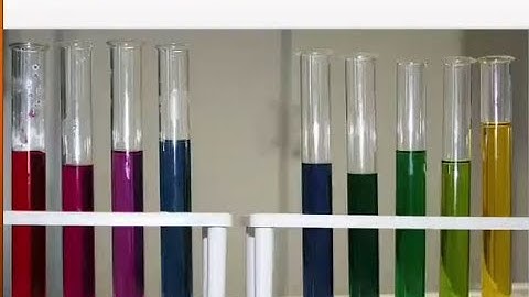 ACIDS AND BASES VIRTUAL LAB PORTFOLIO GUIDE / EDGENUITY