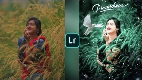 Lightroom green and bird effect photo editing tutorial | Lightroom background colour change preset