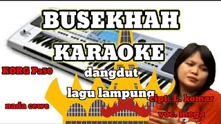 BUSEKHAH karaoke || cover lagu lampung// voc. mega