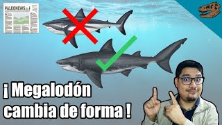 PALEONEWS: Megalodon cambia de forma