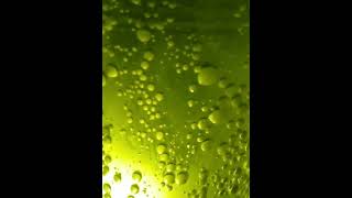 ice cohesive and adhesive bond force