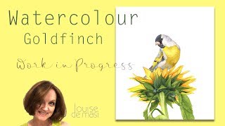 Watercolor Goldfinch Work in Progress -  part 2