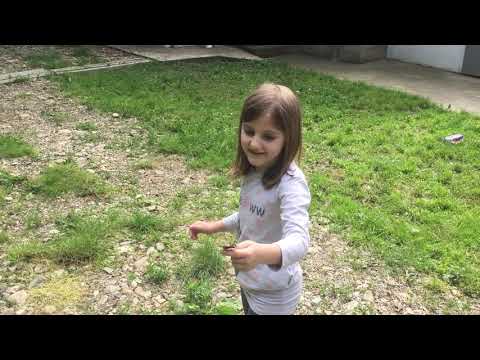 Video: Kako Uhvatiti Leptira