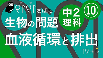 中学理科血液の循環と成分これが分かれば大丈夫2 8 中２理科mp3