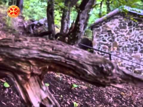 ნიქოზელის სამწყსო ჩრდილო კავკასიაში