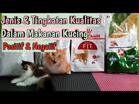 jenis-jenis-makanan-kucing-|-mengenal-tingkatan-dalam-kualitas-|-perawatan-kucing